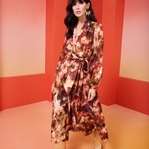 Marie Oliver Lillian Midi Shirt Dress in Vineyard Print Size 2 - Picture 3 of 14